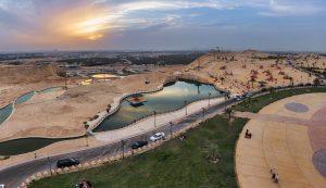 Construction of yards and gardens